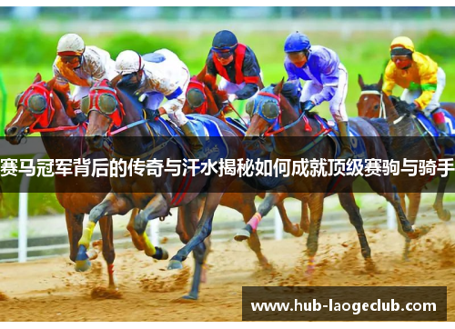 赛马冠军背后的传奇与汗水揭秘如何成就顶级赛驹与骑手 赛马冠军背后的传奇与汗水揭秘如何成就顶级赛驹与骑手