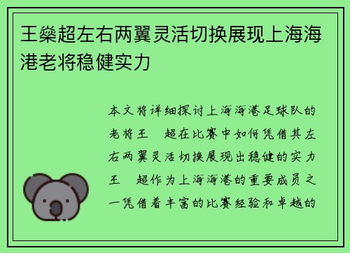 王燊超左右两翼灵活切换展现上海海港老将稳健实力