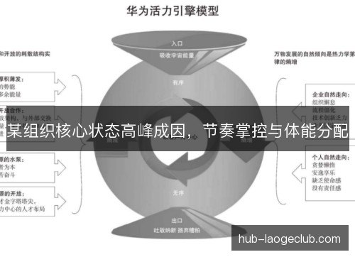 某组织核心状态高峰成因，节奏掌控与体能分配
